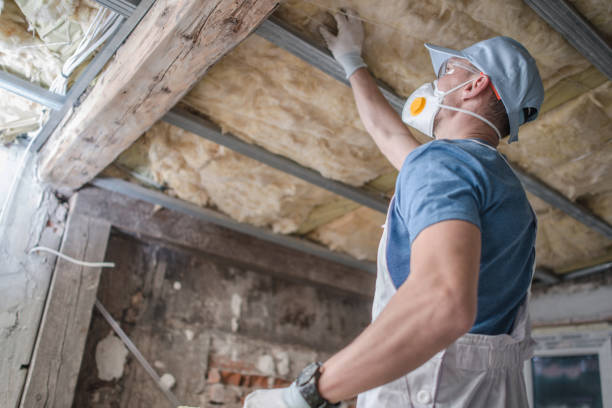 Best Types of Insulation in West Rancho Dominguez, CA