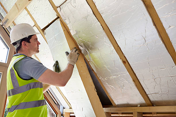 Best Types of Insulation in West Rancho Dominguez, CA